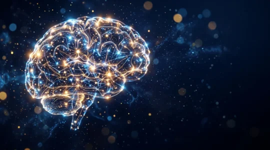 Réseau de connexions neuronales lumineuses formant un cerveau humain stylisé dans un espace sombre, symbolisant la transformation de l'information en mémoire durable